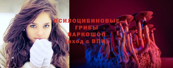 ПСИЛОЦИБИНОВЫЕ ГРИБЫ Козельск