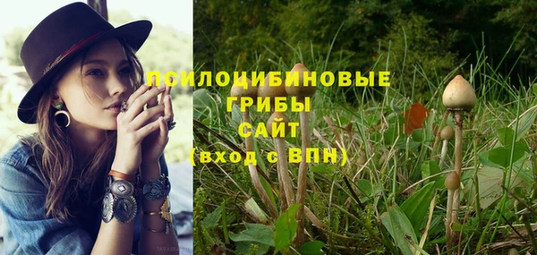 а пвп мука Кодинск