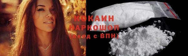 амф Корсаков