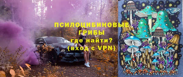 ПСИЛОЦИБИНОВЫЕ ГРИБЫ Козельск