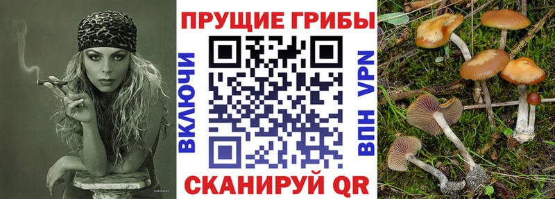 Купить закладки  Лысково  Галлюциногенные грибы MAGIC MUSHROOMS 